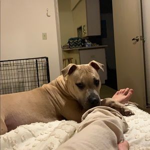 Meet your Posher, Raven